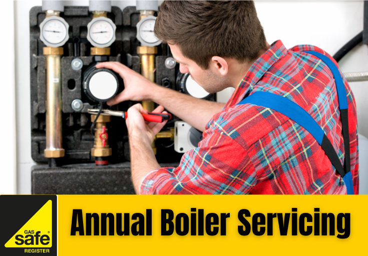 annual boiler servicing Crayford
